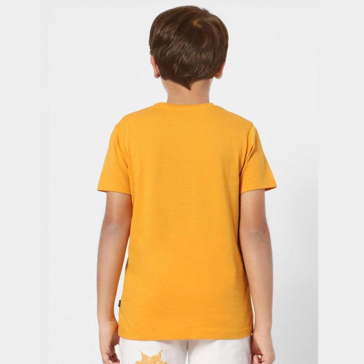 Double F Republic day printed tshirts for boys half sleeve cotton  in golden Yellow color - Double F